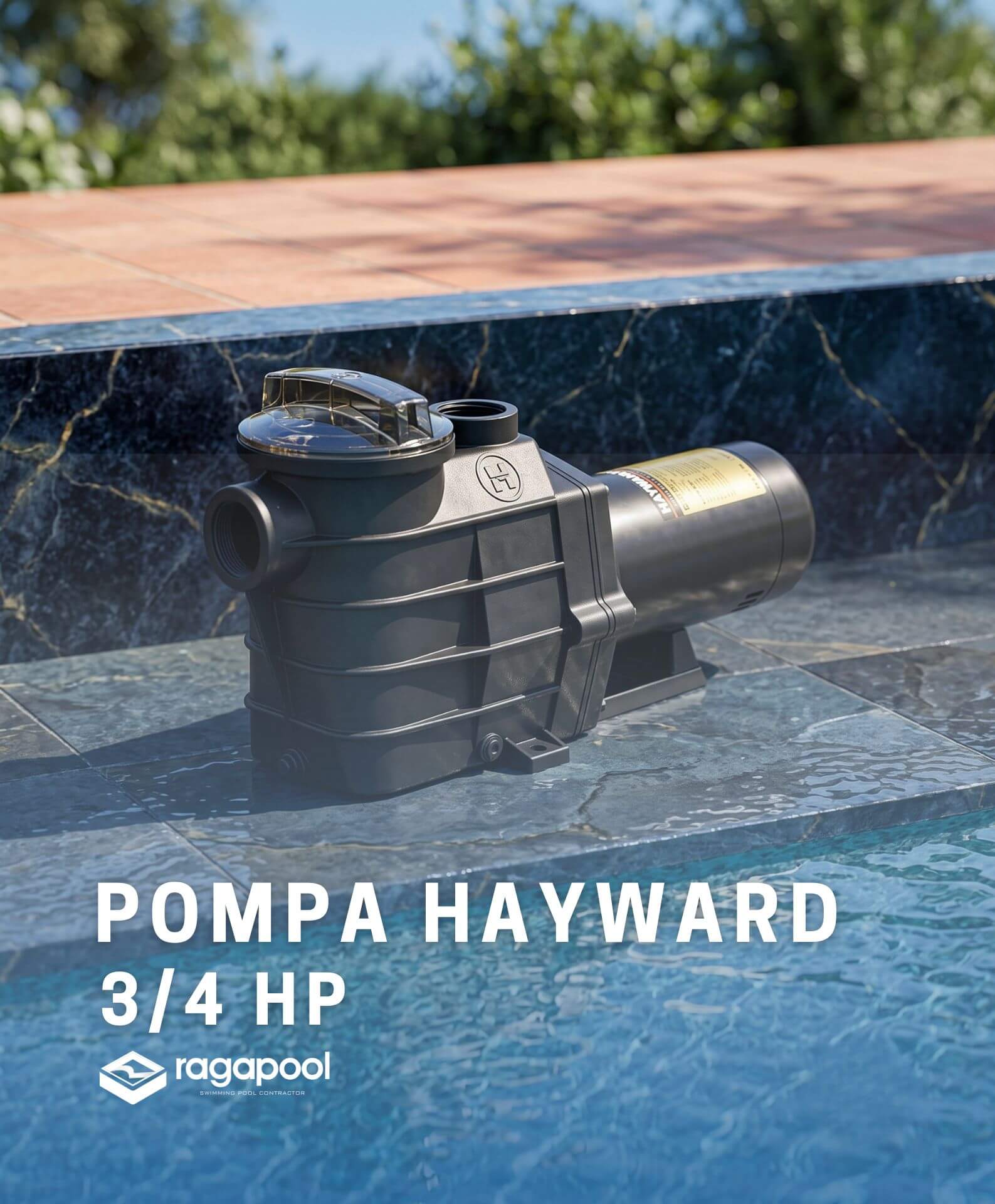 pompa Hayward 3/4 hp